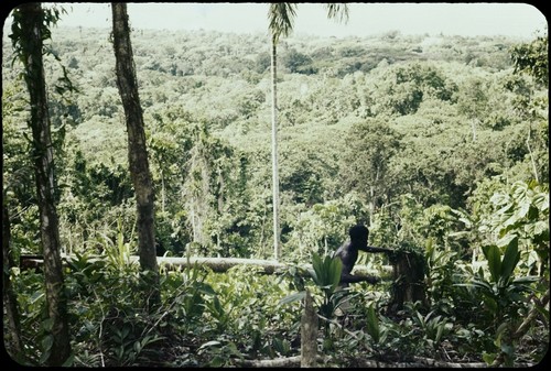 Man on the edge of the forest