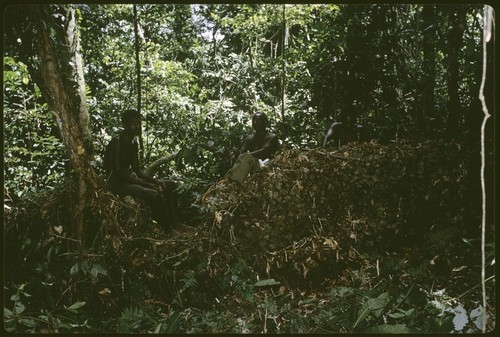 Men in forest