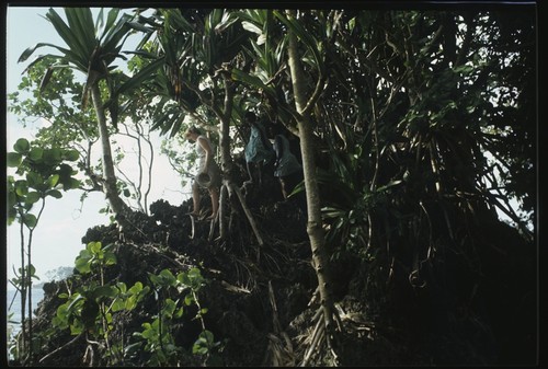 Frances Harwood and two girls in forest on edge of a cliff