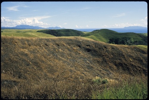 Field landscape