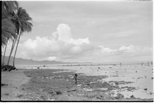 People walking on reef