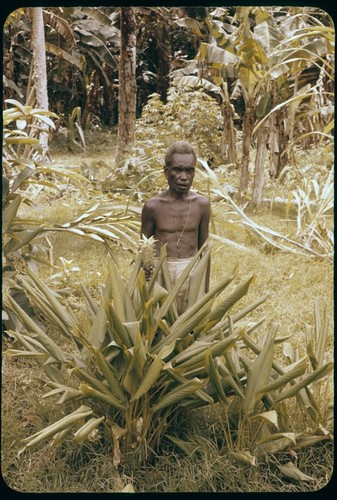 Man in a garden