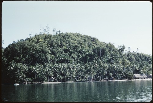 Coastline landscape with houses