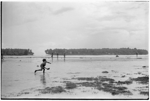 People walking on reef