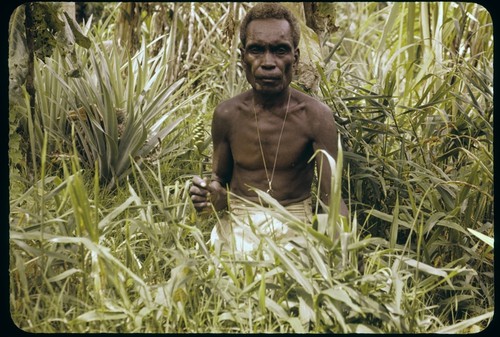 Man in a garden