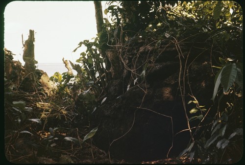 View from behind the burial urn with old coral mound in the foreground