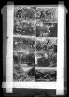 Ten views of Kneen's Kamp and Topanga Canyon, Topanga, circa 1918-1930