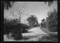 View of Palisades Park with couple seated on bench on left side of wide walkway, Santa Monica, circa 1915-1925