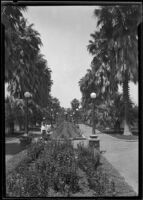 Unidentified park with and woman and two children, rose beds, palm trees and fountain, California, circa 1920-1930