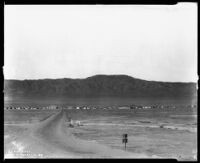 View towards the town of Avenal in the Salinas valley with the Santa Lucia mountain range in the distance, Avenal, circa 1929