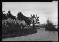 Palisades Park, view towards walkway, garden and amusement pier, Santa Monica, circa 1915-1925