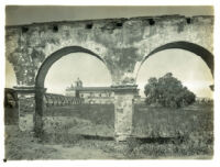 Mission San Luis Rey de Francia, showing one of the original pepper trees in the courtyard, Oceanside, 1900