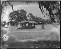 Five cottages in a rural or mountain location (unidentified), California, circa 1915-1930