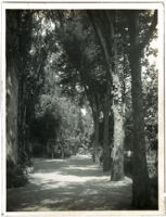 Hugo Reid Adobe and old mission bell at Rancho Santa Anita, Arcadia, circa 1900-1903