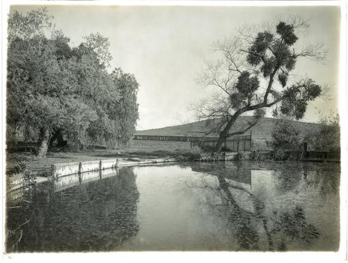 Sheep washing pond at Rancho Guajome, Vista vicinity, circa 1898-1901