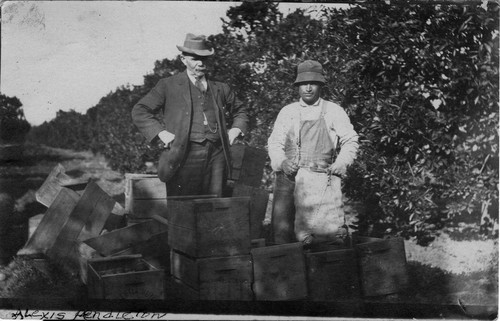 Photograph of Alexis Pendleton and worker in orange grove