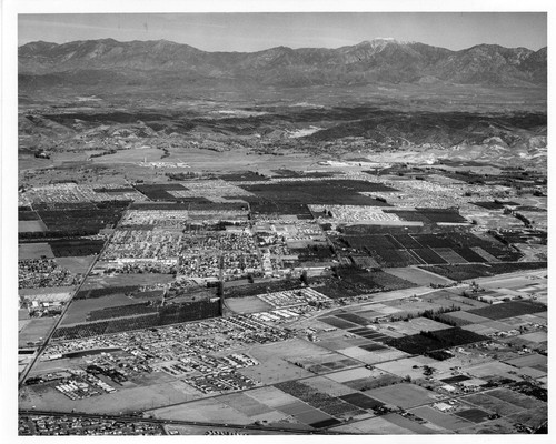 Aerial photograph of Placentia