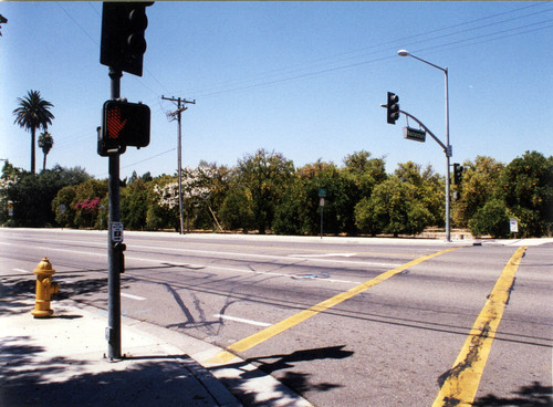 Photograph of Placentia's last commercial orange grove