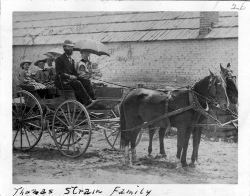 Photograph of Thomas Strain and family sitting buggy