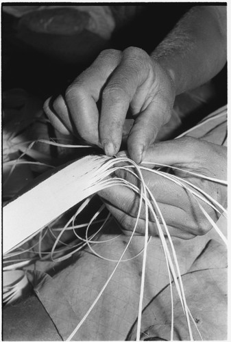 Closeup of Moruka of Ga'enaafou, 'Elota's daughter, plaiting a bag in Keesing's house