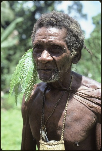 Portrait of I'arifu