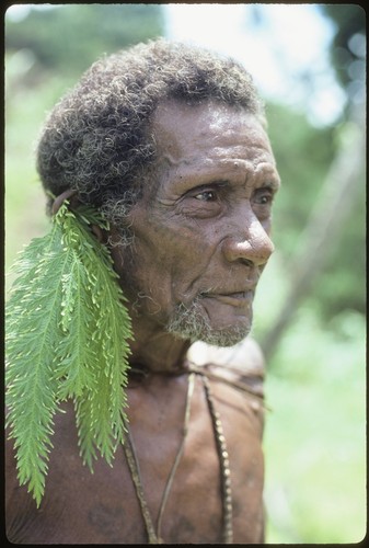 Portrait of I'arifu