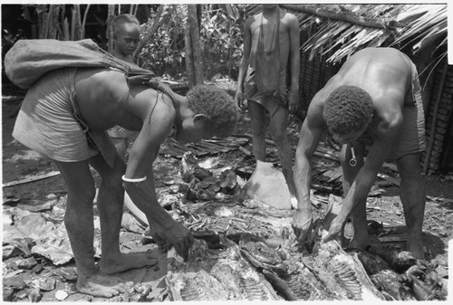 Unwrapping and eating the gwasu taro and coconut pudding, as part of desacralization ritual connected with mourning