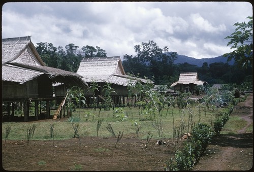 Village scene, Santa Isabel