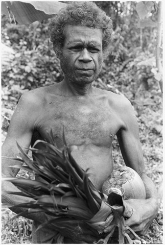 Geleniu with cordyline and coconut for ritual