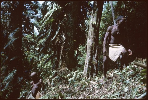 Mr. Laubasi and Mrs. Boori'au at foot of canarium almond tree