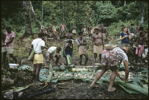 Feast at kastom occassion, in Ngarinaasuru, with Christian-style food presentation on leaf rows