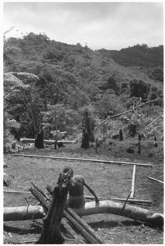 U'udifaka sitting on log with gardens in background, at Fouoge