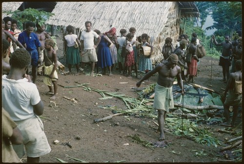 Killing pigs at a feast, probably at Ngarinaasuru