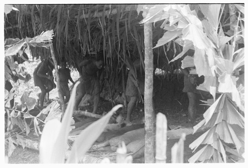 Taualea, feasting shelter, ritual