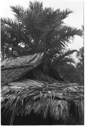 Carving at the taifisi tip of the roof