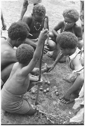 Boys dividing betel (areca) nuts at Foutoru