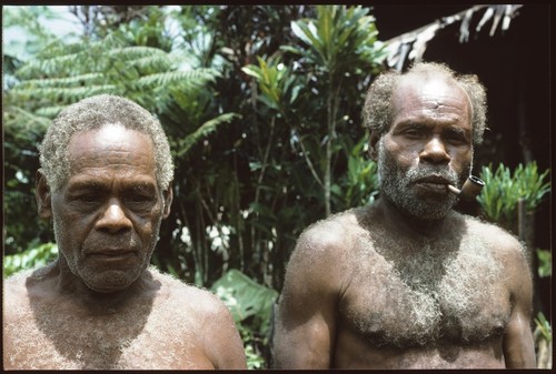 Suufiomea of 'Ubuni, left, and Safaasafi, right