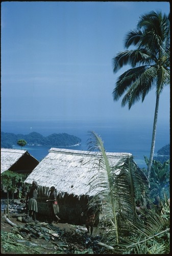 Houses above Sinalagu Harbour, with harbor in background