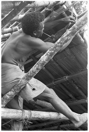 Man repairing thatch of new house without walls, probably built for a feast