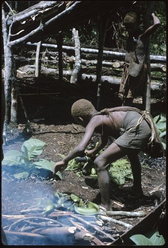 Boy working on fire, getting ready to roast plaintains