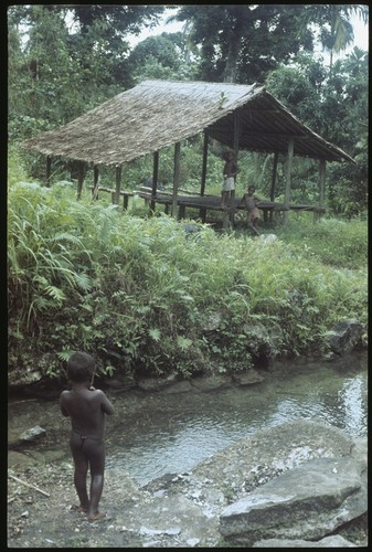 Seri Sika'u and other kids around meeting house by stream at Uka'oi, Sinalagu coastal slope