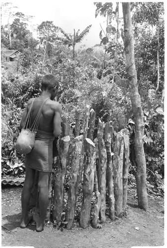 Person standing by small fenced area