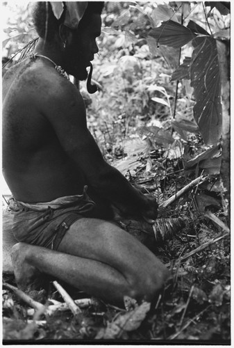 Pigs for ritual purposes are killed by suffocation. Note the sacred vine around the pig's snout