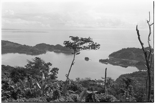 Sinalagu Harbour