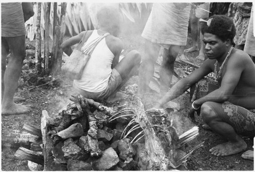 Cooking the sacrificial pig, 'Oloburi feast