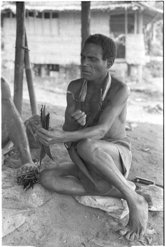 Diviner looking at just-broken cordyline leaf knot, during aringa diviniation