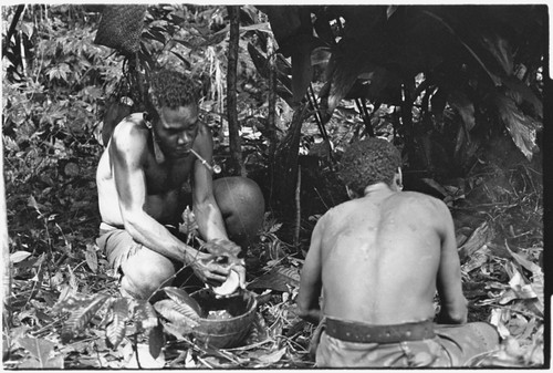 Priest Kwa'ilamo scraping coconut meat from shell for ritual pudding