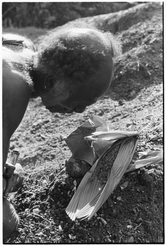 Folofo'u bespells plants for langwalee'ai magic, associated with the return of a mother and newborn infant from the childbrith and menstrual hut areas