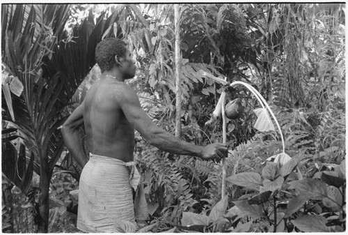 Arika explains to his ancestors that this offering of taro and coconuts is to ensure clear weather for his feast