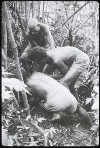 The burial of Gooboo, the senior Ga'enaafou priest